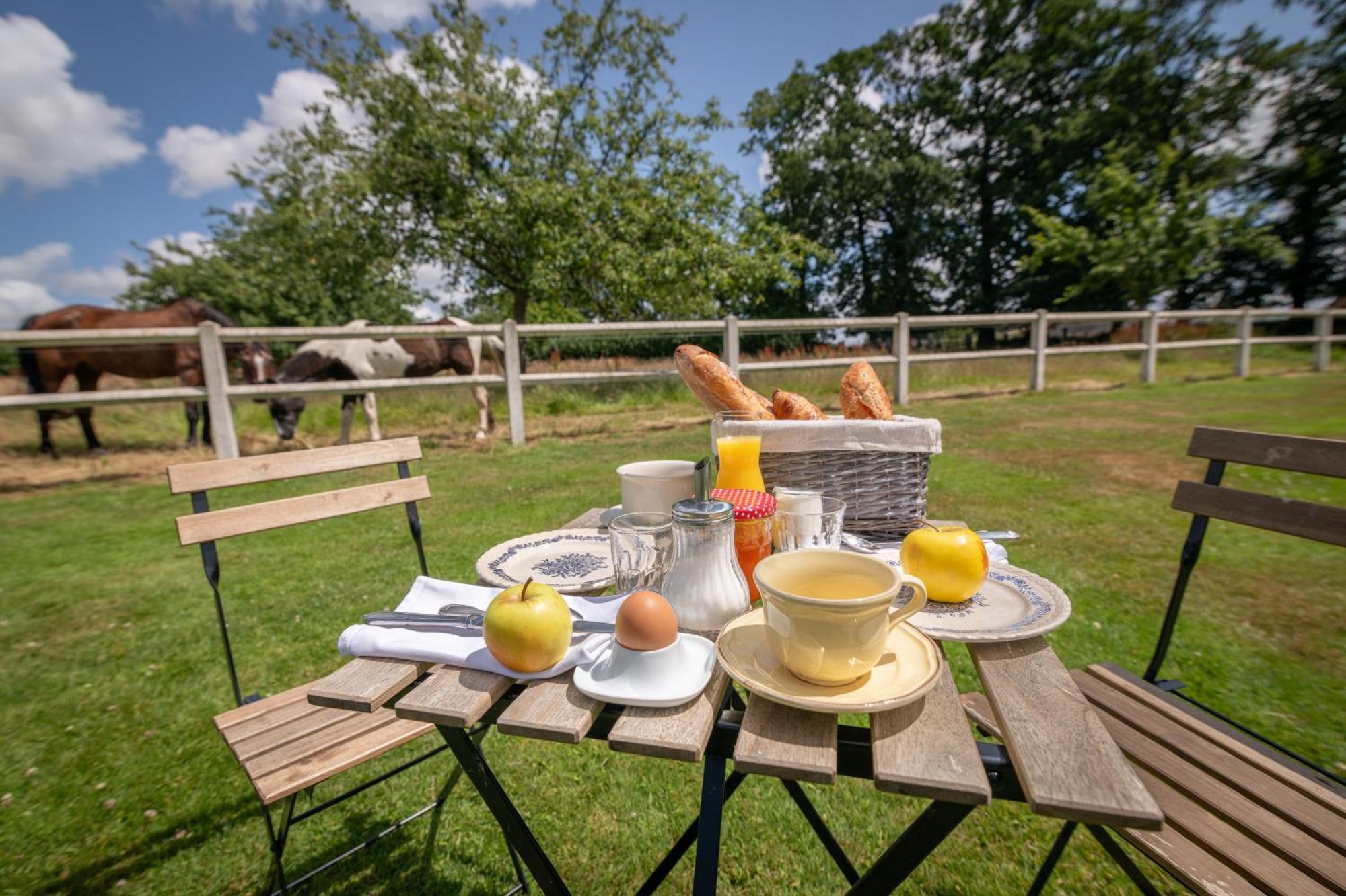 Hotel Le Manoir De La Campagne Yebleron Zewnętrze zdjęcie